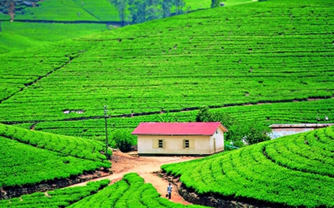 Việt Nam lọt top những điểm đến giá rẻ nhất năm 2014