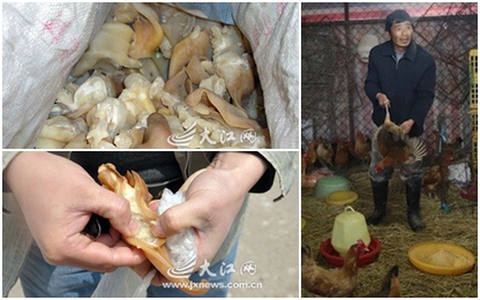 Kinh hoàng phanh phui những vụ thịt giả ở Trung Quốc 