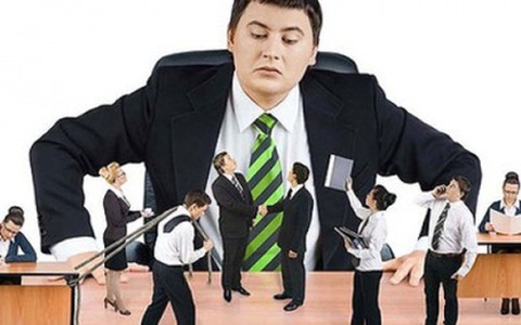 Khi nhân viên công sở "làm tớ thằng ngu"…