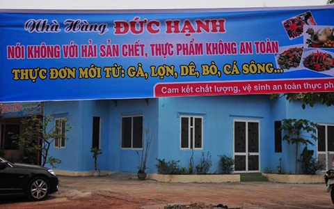 Nhà hàng ở Quảng Bình thay đổi thực đơn, cam kết nói không với cá biển chết