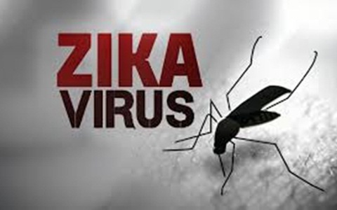 TP.HCM: Tăng cường kiểm soát vi rút Zika khi một người Đức bị nhiễm