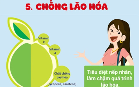 Vì sao mỗi ngày ăn một quả ổi, bệnh tật sẽ không còn "hỏi thăm"?