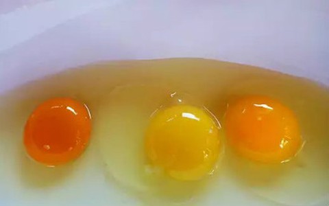 Nhìn 3 lòng đỏ này, bạn có biết quả trứng nào được sinh bởi con gà khỏe mạnh?
