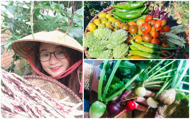 Vườn rau quả tươi là một trong những hình ảnh đẹp nhất của tự nhiên. Những bức ảnh về vườn rau quả tươi sẽ cho bạn thấy được sự đa dạng và sự phong phú của các loại rau quả trên trang trại. Nếu bạn yêu thích ẩm thực và văn hóa Việt Nam thì đừng bỏ lỡ những bức ảnh này.