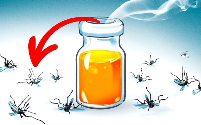 8 loại hương hoa có thể giúp diệt và xua đuổi muỗi trong nhà thích hợp dùng vào những ngày hè