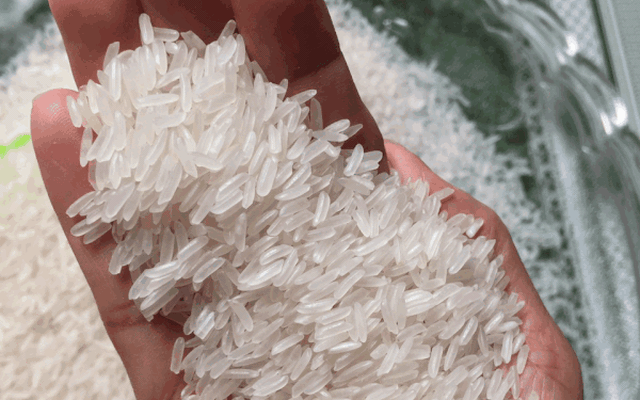 Kiểm tra sản phẩm các loại gạo trước khi nhận hàng