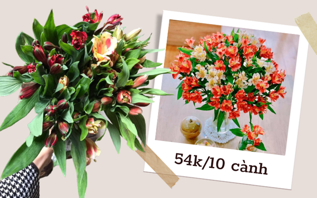 Chợ hoa online tấp nập set hoa thủy tiên, chị em bỏ 54k được 10 cành