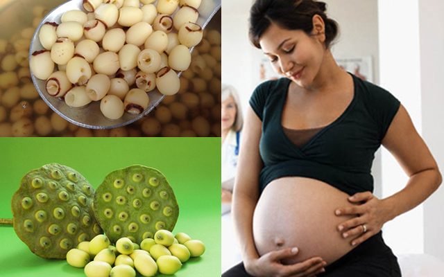 Những lợi ích khổng lồ cũng như tác dụng phụ của hạt sen cho mẹ bầu và thai  nhi
