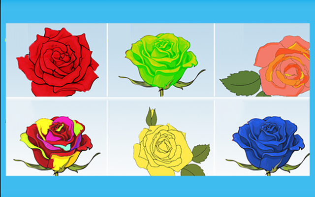 Chọn bông hồng bạn thấy đẹp nhất, đáp án sẽ giúp bạn khám phá ...