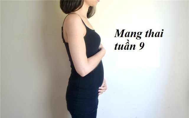 Mang thai tuần 9: Em bé không còn là phôi thai mà đã chính thức là ...