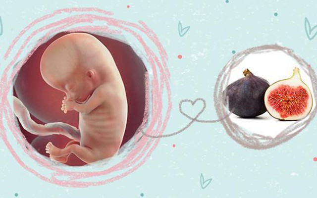 Mang thai tuần 11: Em bé đã biết đá, co giãn đôi chân