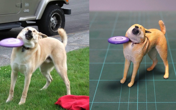 Cười nhấc gu0026amp;#242; mu0026amp;#225; với những khoảnh khắc dị thường 