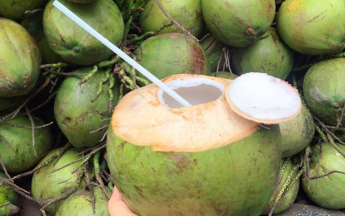 5 Cách Chọn Dừa Xiêm Ngon, Nhiều Nước Đến Từ Tiểu Thương Buôn