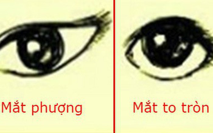 Các dáng mắt phổ biến  Dáng mắt của bạn hợp với kiểu trang điểm nào  Làm  Điệu