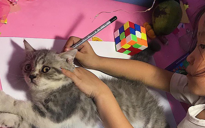 Sự sáng tạo không giới hạn của trẻ em luôn khiến người lớn phải ngưỡng mộ! Bạn có tin không, chỉ với bài tập vẽ con mèo đơn giản mà một bé gái đã thể hiện được tài năng và sự độc đáo của mình. Cùng đến để chiêm ngưỡng tác phẩm tuyệt vời của bé!